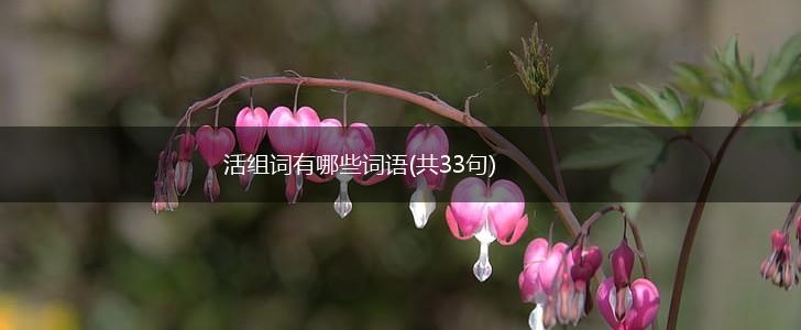 活组词有哪些词语(共33句),第1张