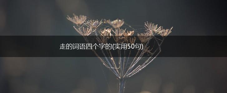 走的词语四个字的(实用50句),第1张