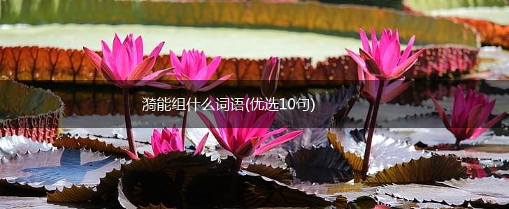 漪能组什么词语(优选10句),第1张
