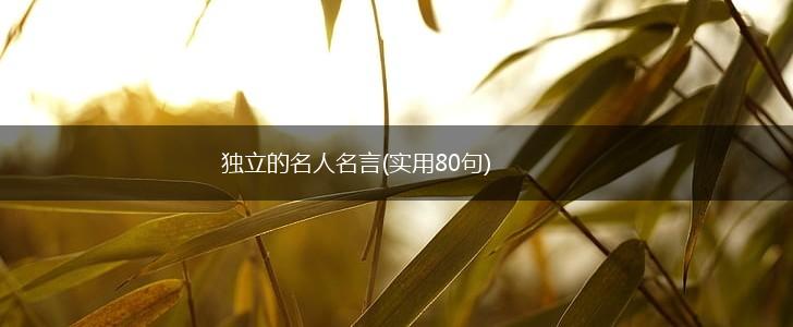 独立的名人名言(实用80句),第1张 独立的名人名言(实用80句),第1张