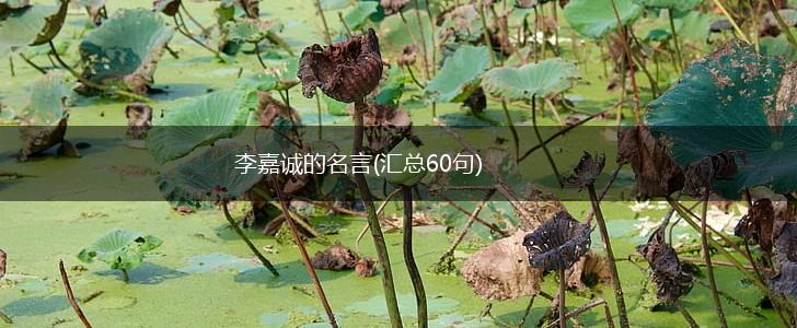李嘉诚的名言(汇总60句),第1张