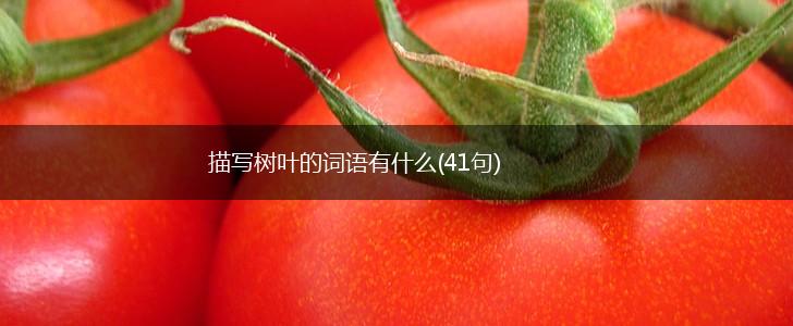 描写树叶的词语有什么(41句),第1张