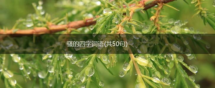 骚的四字词语(共50句),第1张