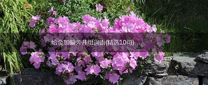 给佥加偏旁并组词语(精选10句),第1张 给佥加偏旁并组词语(精选10句),第1张