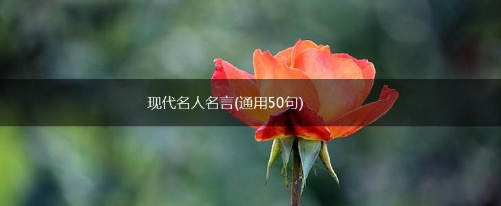 现代名人名言(通用50句),第1张