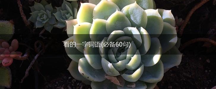 看的一字词语(必备60句),第1张