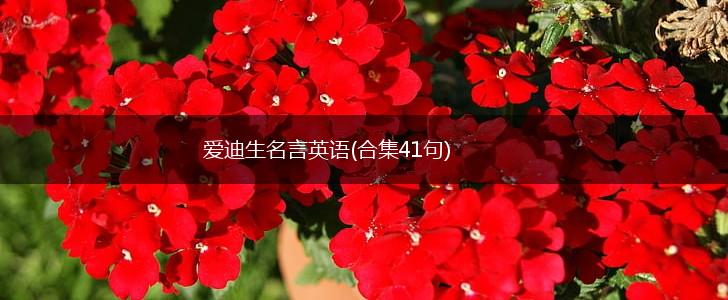 爱迪生名言英语(合集41句),第1张