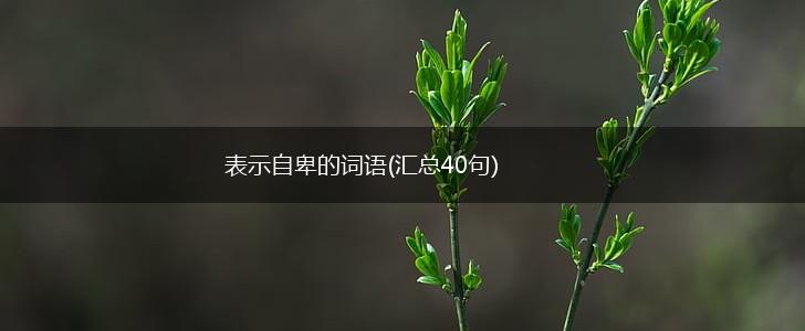 表示自卑的词语(汇总40句),第1张