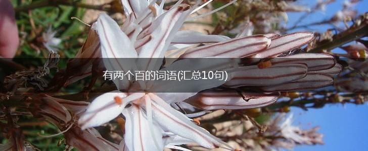 有两个百的词语(汇总10句),第1张