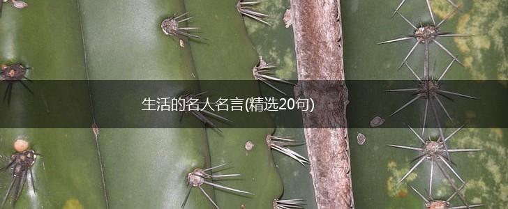生活的名人名言(精选20句),第1张 生活的名人名言(精选20句),第1张