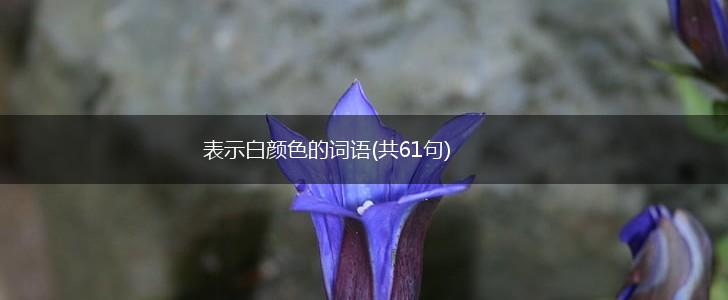 表示白颜色的词语(共61句),第1张