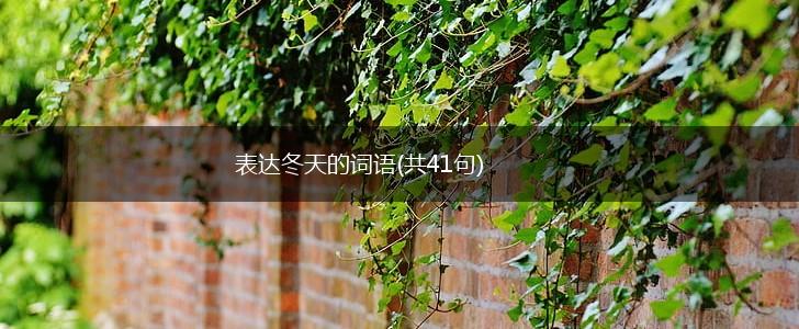 表达冬天的词语(共41句),第1张