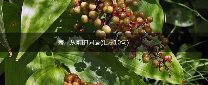 表示从前的词语(汇总10句),第1张