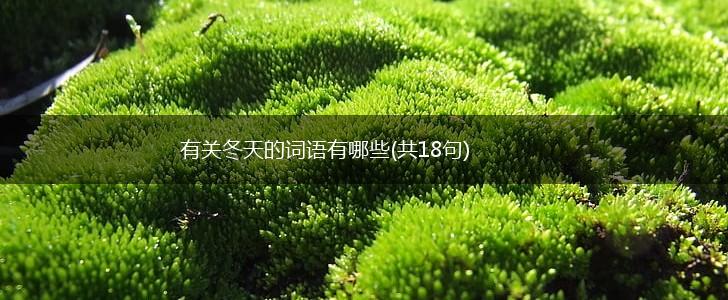 有关冬天的词语有哪些(共18句),第1张