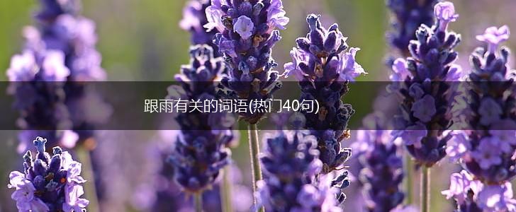 跟雨有关的词语(热门40句),第1张 跟雨有关的词语(热门40句),第1张