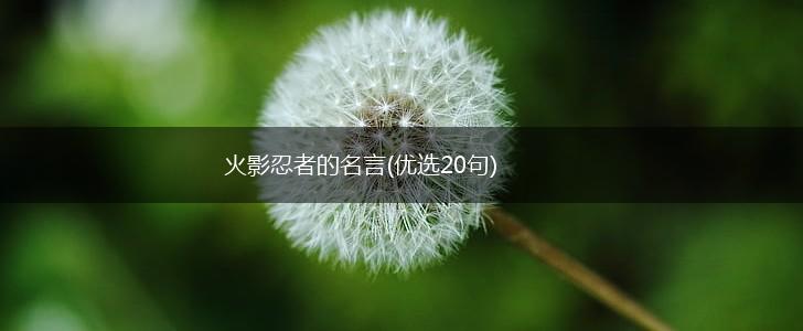 火影忍者的名言(优选20句),第1张