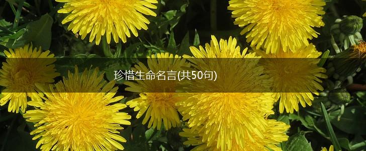 珍惜生命名言(共50句),第1张