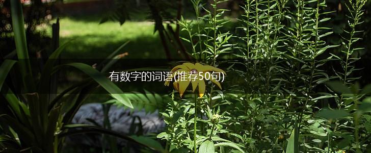 有数字的词语(推荐50句),第1张