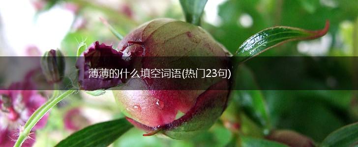 薄薄的什么填空词语(热门23句),第1张