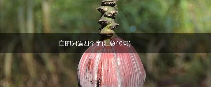 自的词语四个字(汇总40句),第1张
