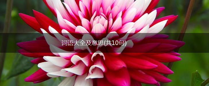 词语大全及意思(共10句),第1张