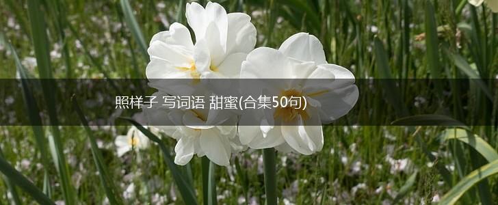 照样子 写词语 甜蜜(合集50句),第1张