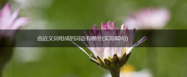 由近义词组成的词语有哪些(实用80句),第1张