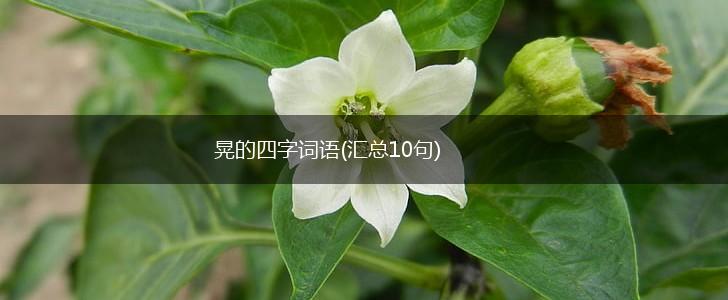 晃的四字词语(汇总10句),第1张