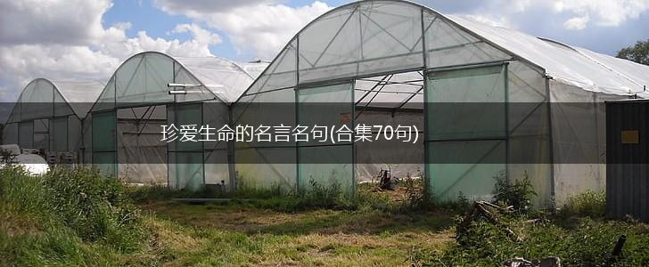 珍爱生命的名言名句(合集70句),第1张