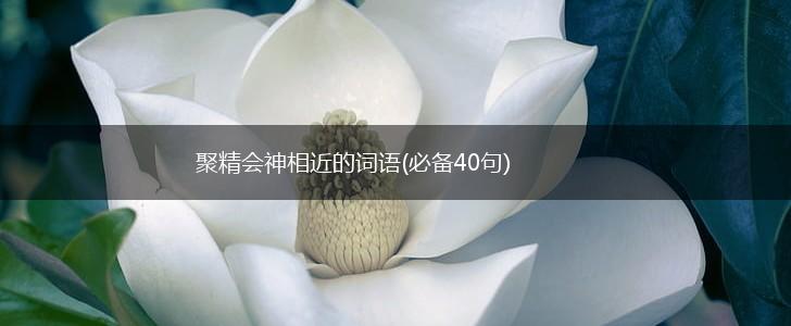 聚精会神相近的词语(必备40句),第1张