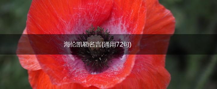 海伦凯勒名言(通用72句),第1张