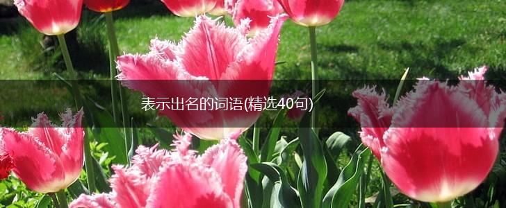 表示出名的词语(精选40句),第1张