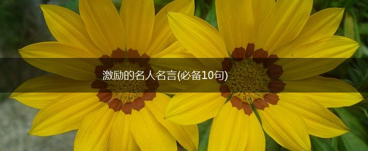 激励的名人名言(必备10句),第1张 激励的名人名言(必备10句),第1张