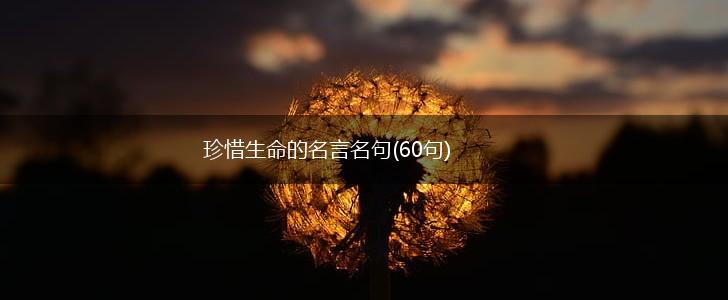 珍惜生命的名言名句(60句),第1张