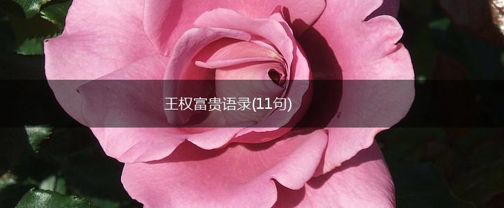王权富贵语录(11句),第1张