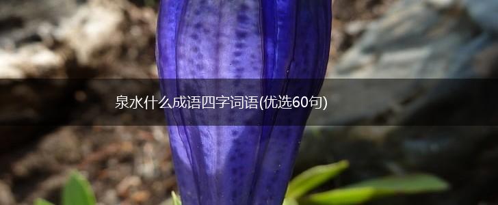 泉水什么成语四字词语(优选60句),第1张