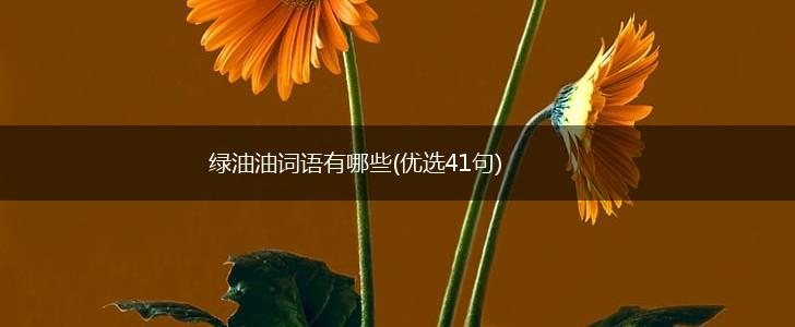 绿油油词语有哪些(优选41句),第1张