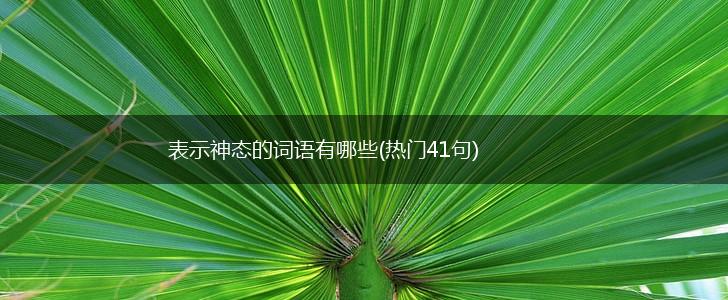 表示神态的词语有哪些(热门41句),第1张
