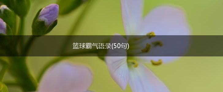 篮球霸气语录(50句),第1张
