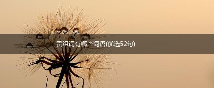 贡组词有哪些词语(优选52句),第1张