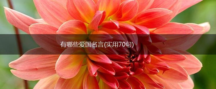 有哪些爱国名言(实用70句),第1张