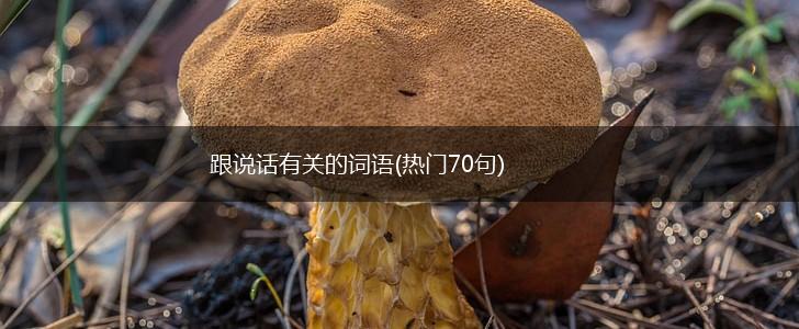跟说话有关的词语(热门70句),第1张