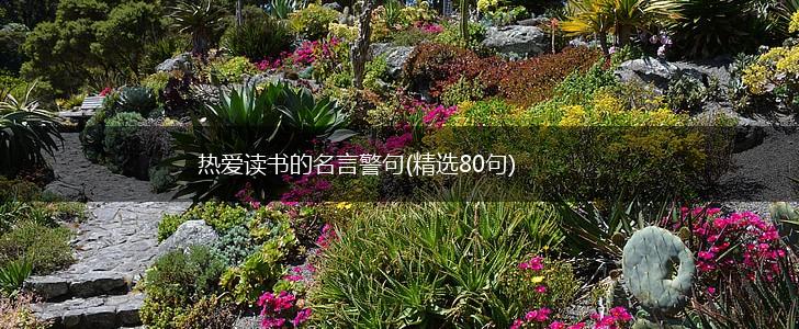 热爱读书的名言警句(精选80句),第1张