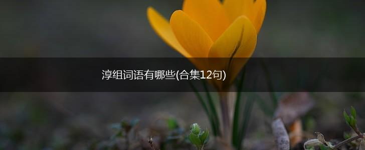 淳组词语有哪些(合集12句),第1张