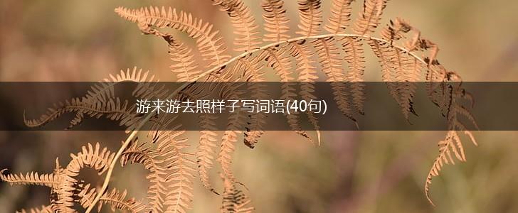 游来游去照样子写词语(40句),第1张