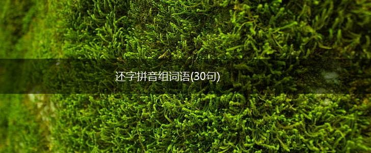 还字拼音组词语(30句),第1张 还字拼音组词语(30句),第1张