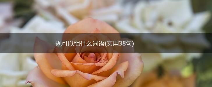 规可以组什么词语(实用38句),第1张