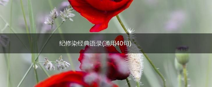 纪修染经典语录(通用40句),第1张