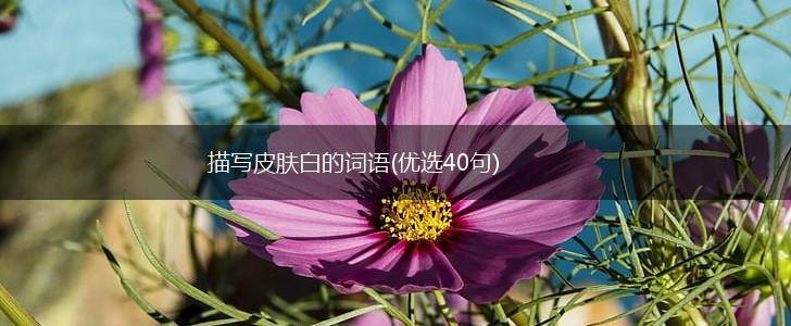 描写皮肤白的词语(优选40句),第1张
