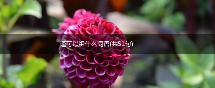 谨可以组什么词语(共51句),第1张